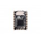 Luckfox Pico Mini A RV1103 Linux Micro Development Board, Integrates ARM Cortex-A7/RISC-V MCU/NPU/ISP Processors, onboard 64MB memory