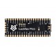LuckFox Pico RV1103 Linux Micro Development Board, Integrates ARM Cortex-A7/RISC-V MCU/NPU/ISP Processors