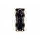 Luckfox Pico 2 Micro Development Board, Based on Raspberry Pi MCU RP2350A, Supports Dual ARM Cortex-M33 or Hazard3 RISC-V Processors
